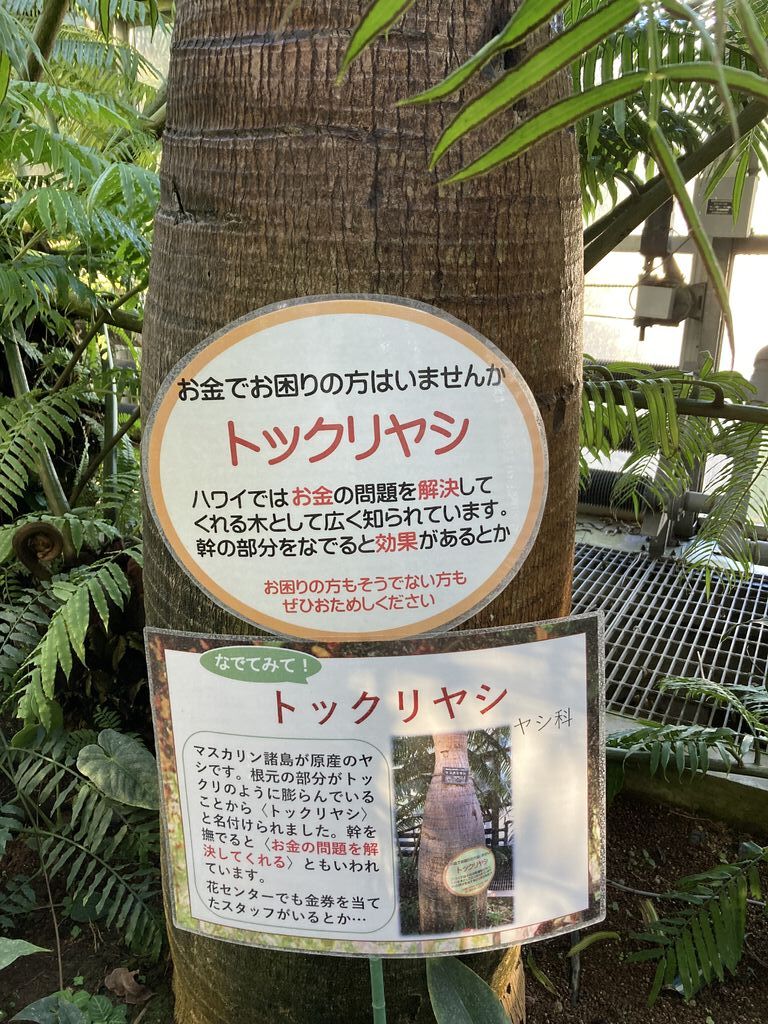 とちぎ花センターのクチコミ 口コミ 写真 栃木市 公園