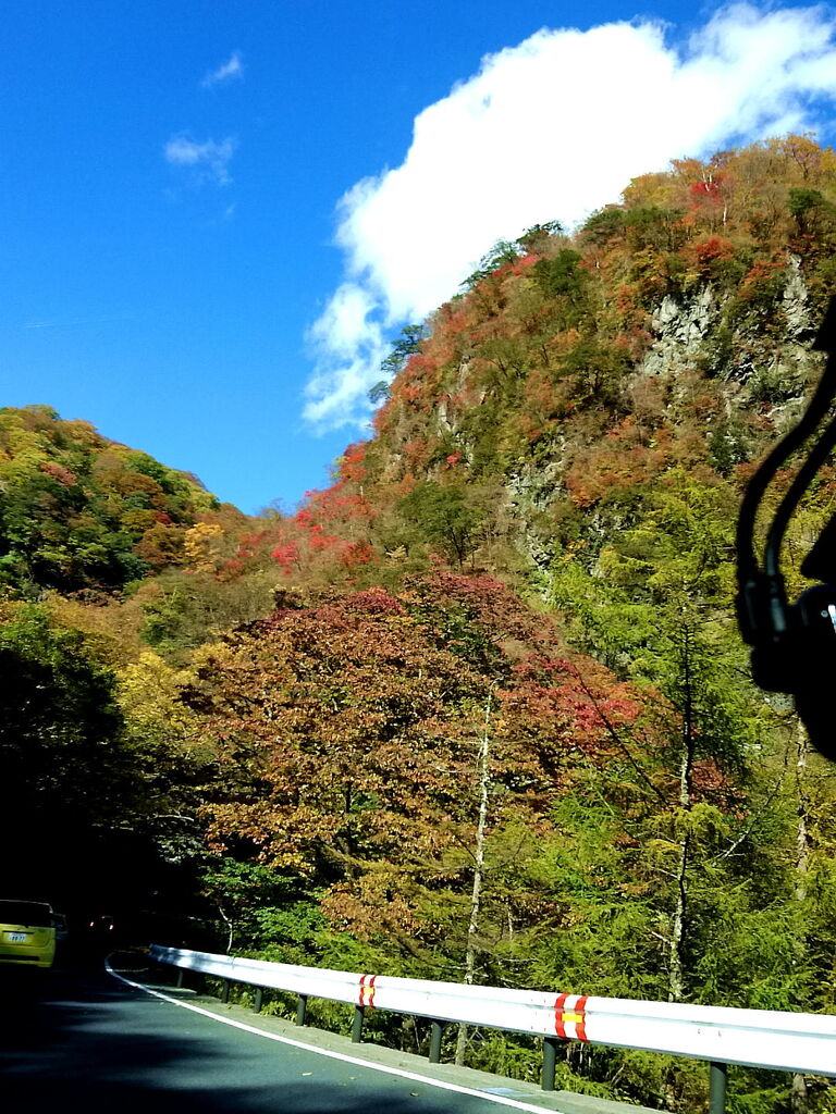 いろは坂のクチコミ 口コミ 写真 日光市 街道 いろは坂のクチコミ 口コミ 写真 日光市 街道