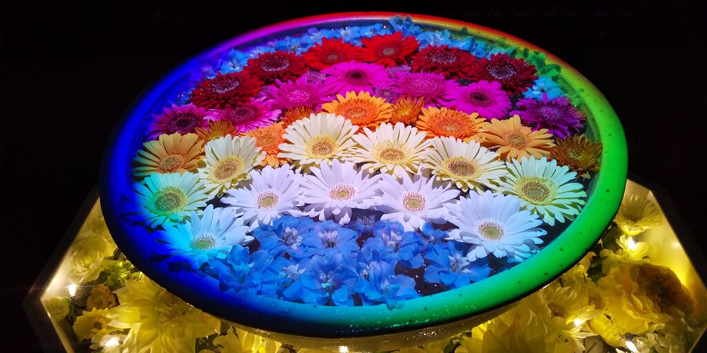 あしかがフラワーパークのクチコミ 口コミ 写真 足利市 植物園 花