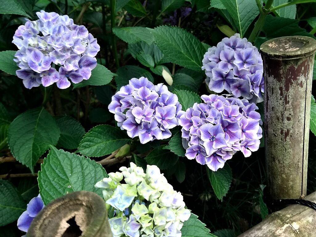 学問の神様 天満宮 芳賀町の神社 仏閣 教会 栃ナビ