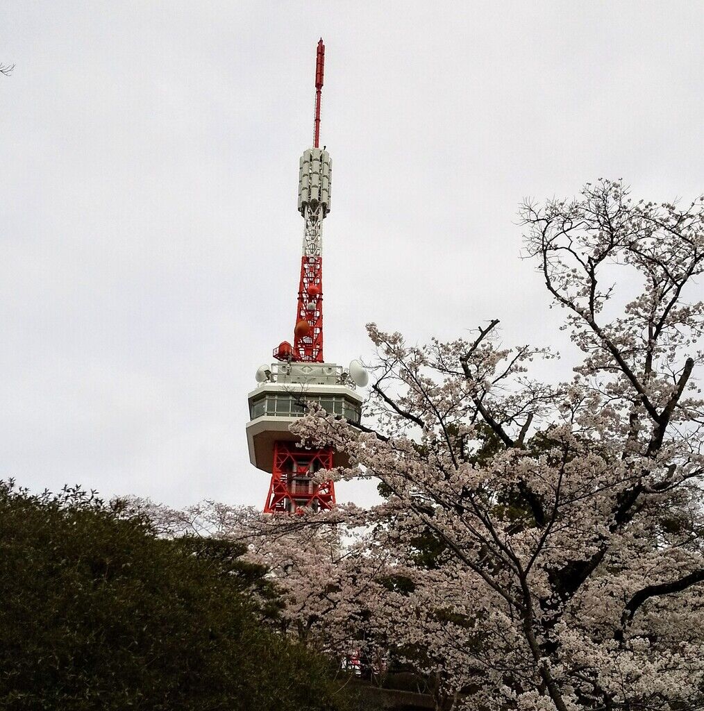 八幡山公園のクチコミ 口コミ 写真 宇都宮市 公園