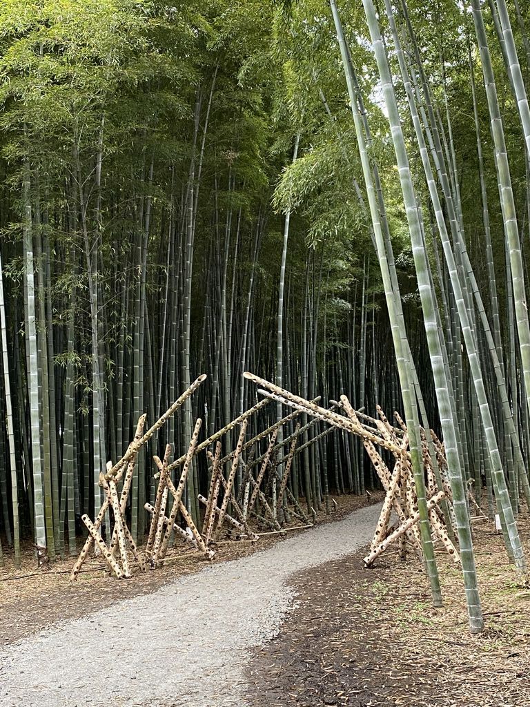 若竹の杜 若山農場のクチコミ 口コミ 写真 宇都宮市 果物 野菜狩り 若竹の杜 若山農場のクチコミ 口コミ 写真 宇都宮市 果物 野菜狩り