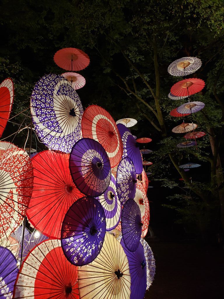 月あかり花回廊 第13章 祭り 日光市 栃ナビ