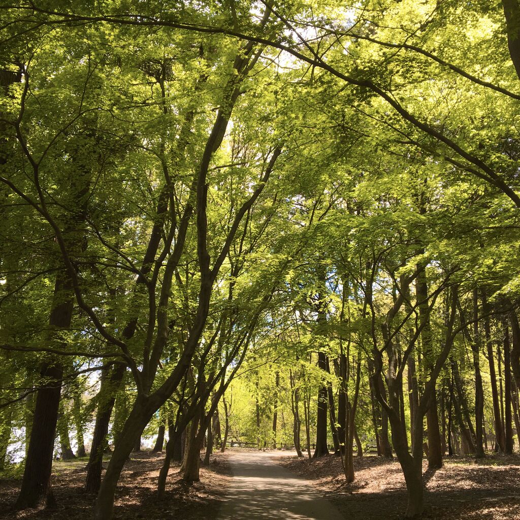 井頭公園のクチコミ 口コミ 写真 真岡市 公園