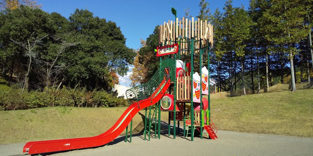 鹿沼運動公園 ヤオハン いちごパーク のクチコミ 口コミ 写真 鹿沼市 公園 鹿沼運動公園 ヤオハン いちごパーク のクチコミ 口コミ 写真 鹿沼市 公園