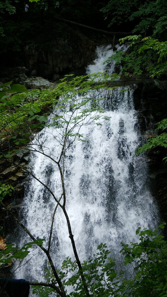 龍王峡のクチコミ 口コミ 写真 日光市 滝 渓谷