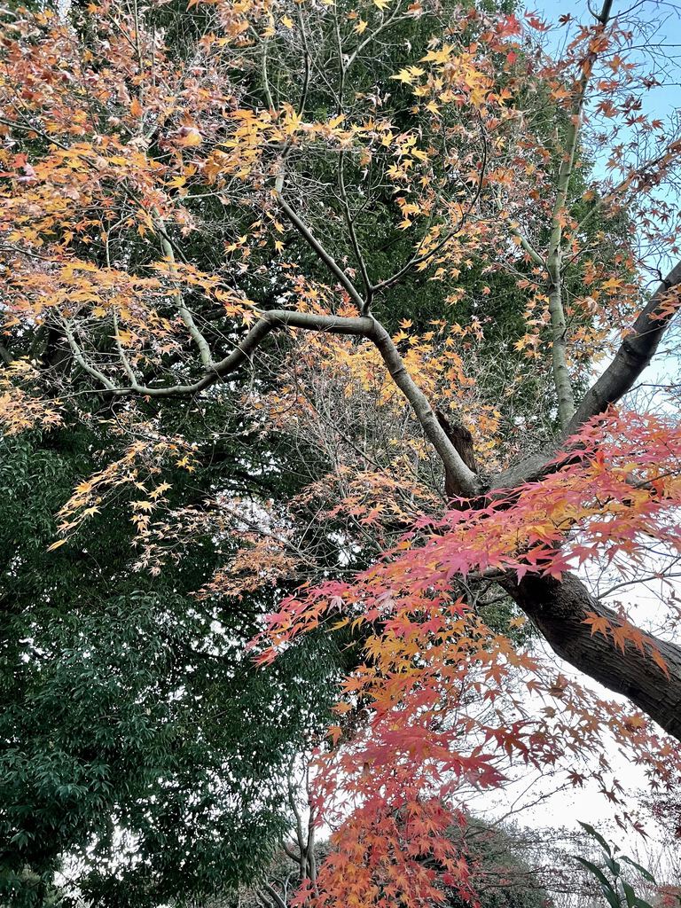 宇都宮駅東公園のクチコミ 口コミ 写真 宇都宮市 公園