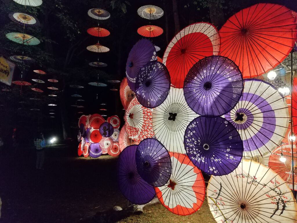 クチコミ 月あかり花回廊 第13章 祭り 日光市 栃ナビ