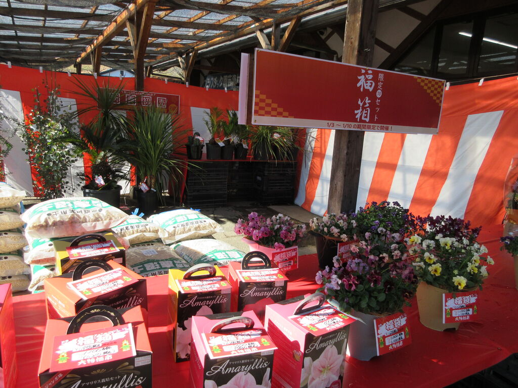 鹿沼市花木センター 鹿沼市のガーデニング 造園 園芸 生花 栃ナビ
