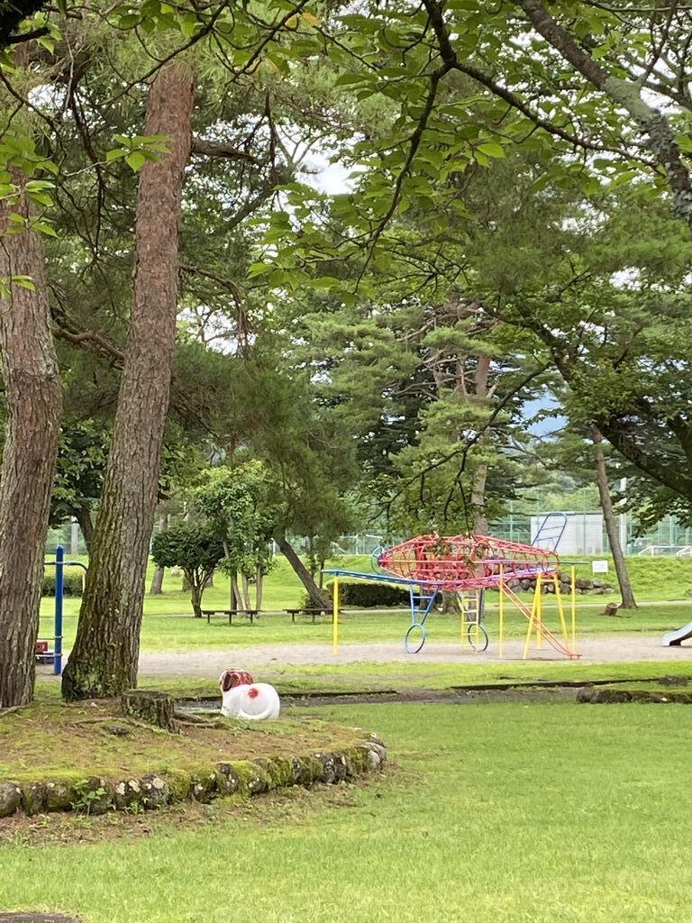 オネ娘さんから丸山公園への投稿クチコミ 栃ナビ