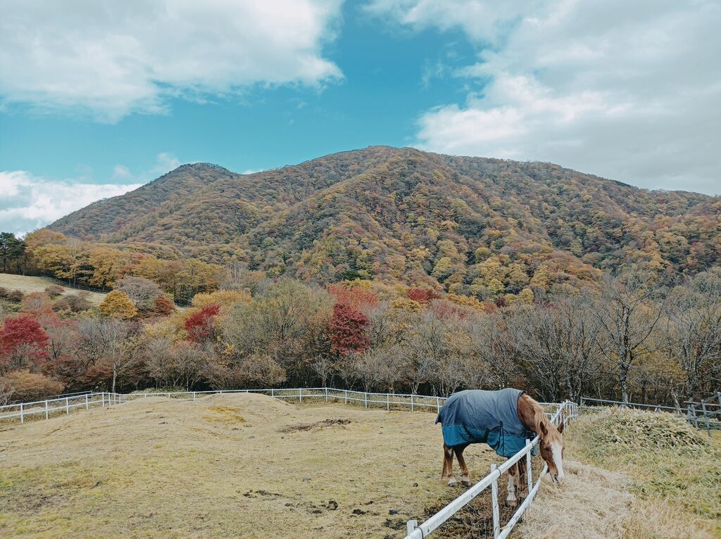 日光霧降高原 大笹牧場のクチコミ 口コミ 写真 日光市 観光牧場