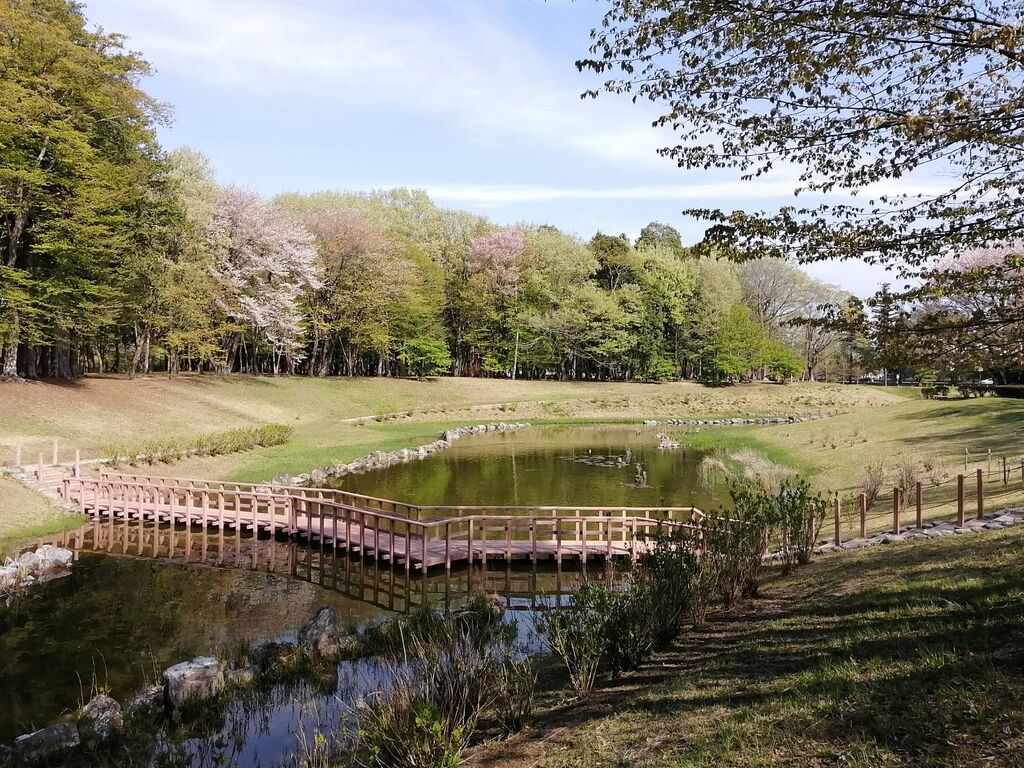 みずほ の 自然 の 森 公園 自転車