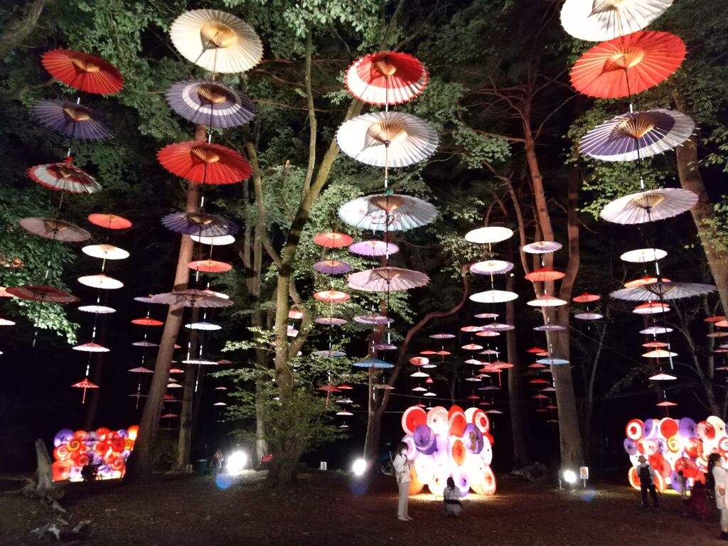 月あかり花回廊 第13章 祭り 日光市 栃ナビ