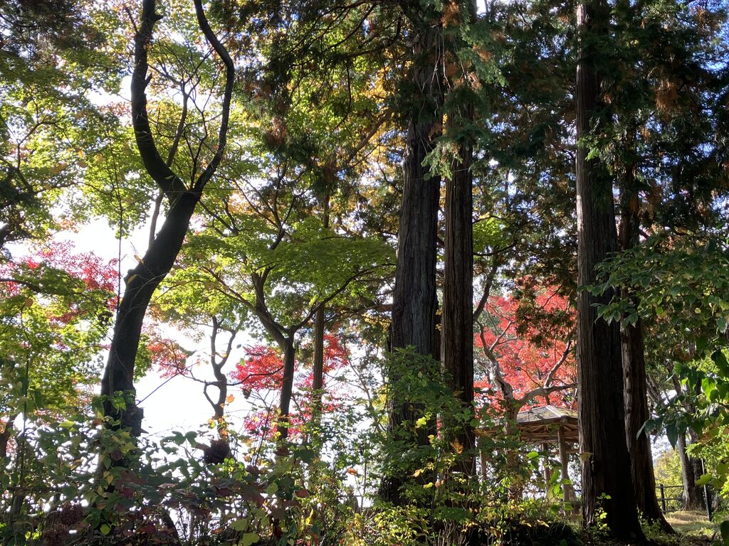 太平山県立自然公園 栃木市の公園・山岳|栃ナビ!