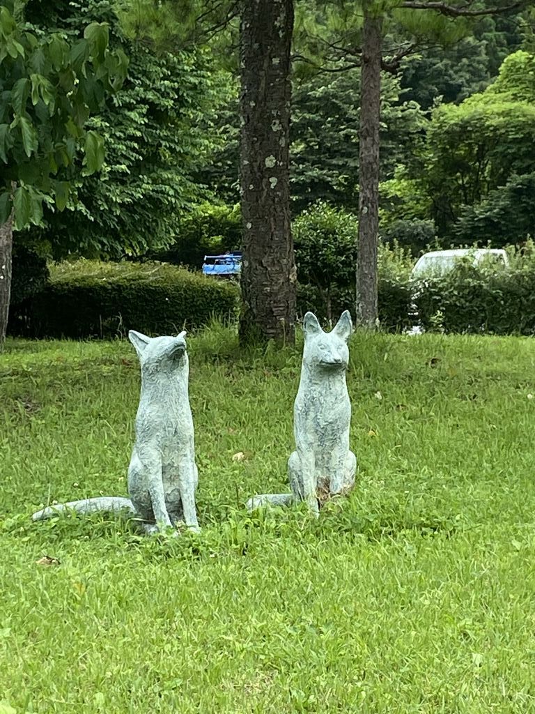 丸山公園のクチコミ 口コミ 写真 日光市 公園