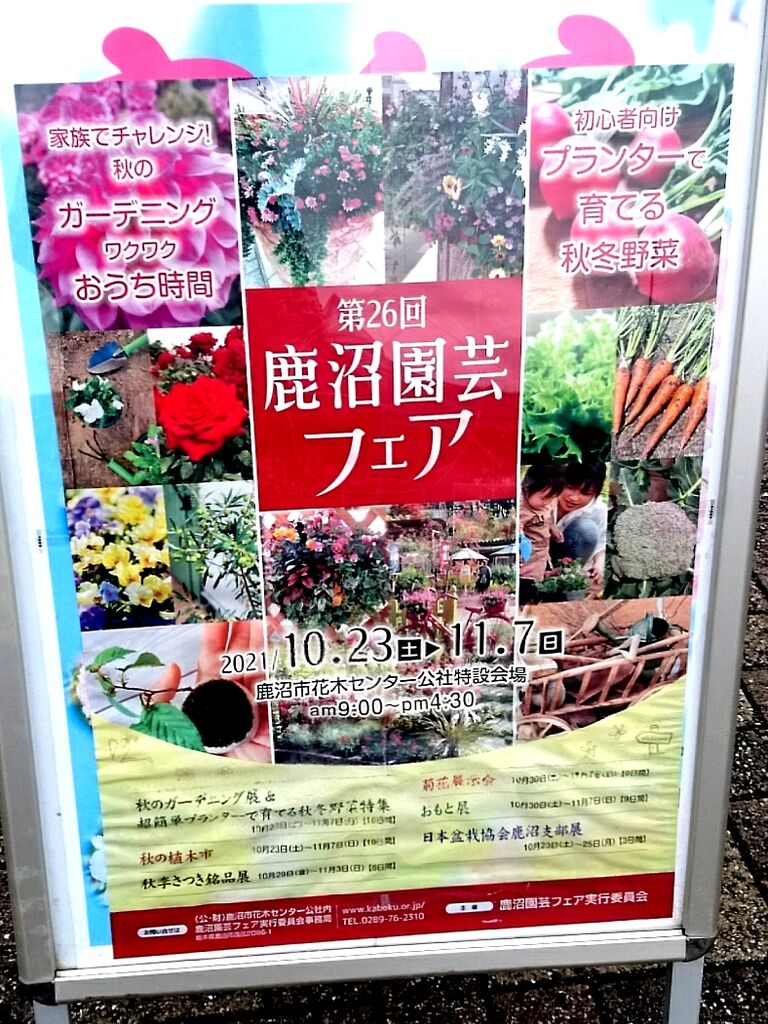 鹿沼市花木センター 鹿沼市のガーデニング 造園 園芸 生花 栃ナビ