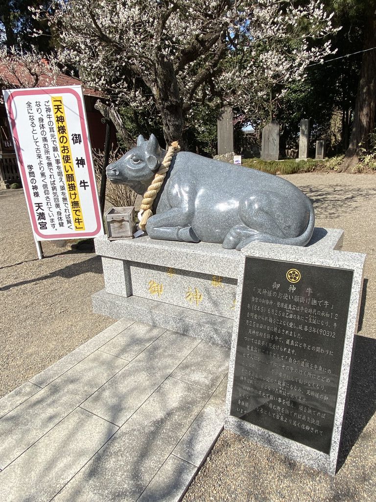 学問の神様 天満宮のクチコミ 口コミ 写真 芳賀町 神社 仏閣 教会