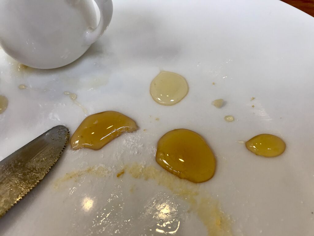 Honey Cafe Honeyb はちみつカフェ ハニービー 鹿沼 市のカフェ 喫茶店 イタリアン テイクアウト ジェラート アイス かき氷 栃ナビ Honey Cafe Honeyb はちみつカフェ ハニービー 鹿沼 市のカフェ 喫茶店 イタリアン テイクアウト ジェラート アイス かき氷 栃ナビ