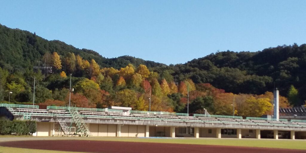 鹿沼運動公園 ヤオハン いちごパーク のクチコミ 口コミ 写真 鹿沼市 公園 鹿沼運動公園 ヤオハン いちごパーク のクチコミ 口コミ 写真 鹿沼市 公園