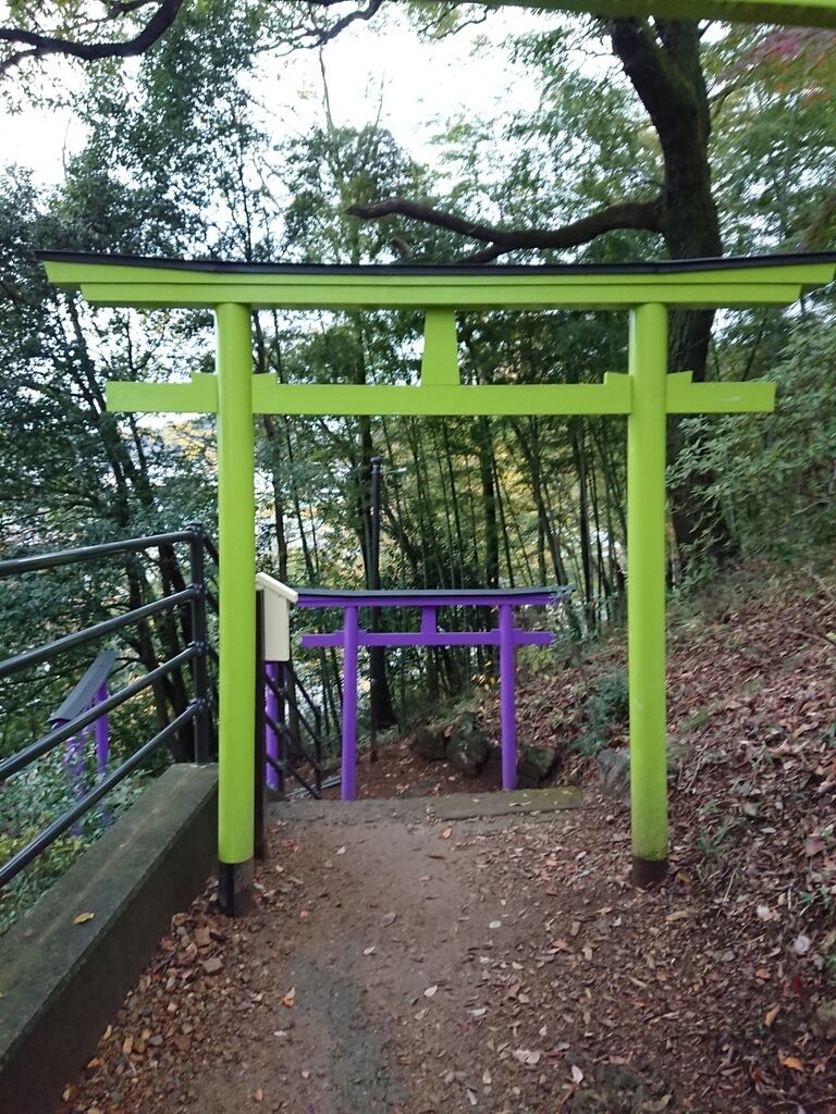 ソース画像を表示