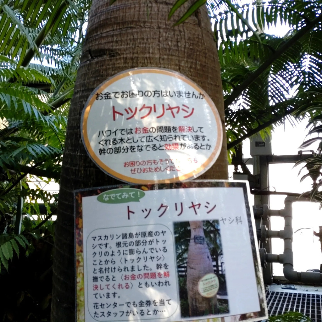 とちぎ花センターのクチコミ 口コミ 写真 栃木市 公園