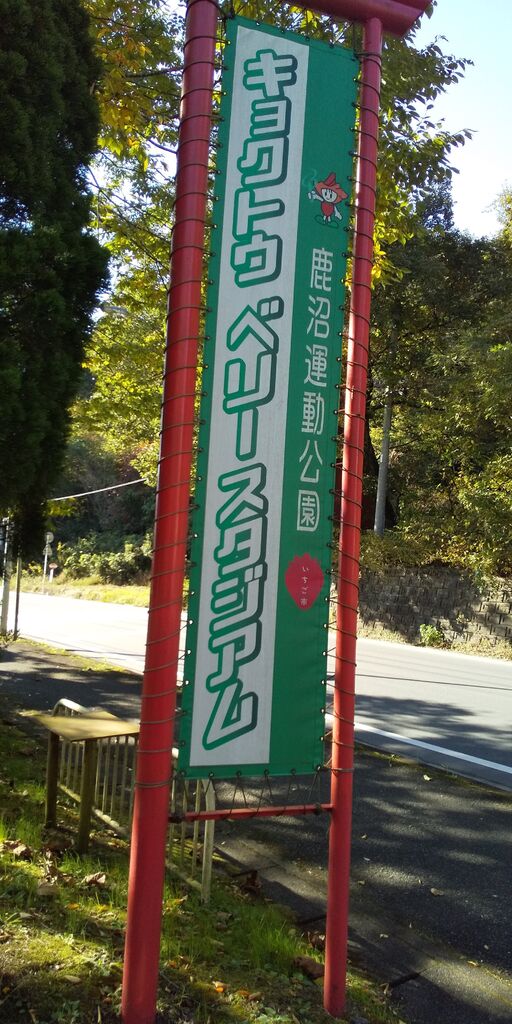 鹿沼運動公園 ヤオハン いちごパーク のクチコミ 口コミ 写真 鹿沼市 公園 鹿沼運動公園 ヤオハン いちごパーク のクチコミ 口コミ 写真 鹿沼市 公園