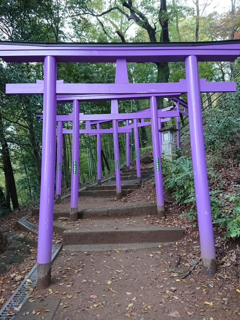 ソース画像を表示