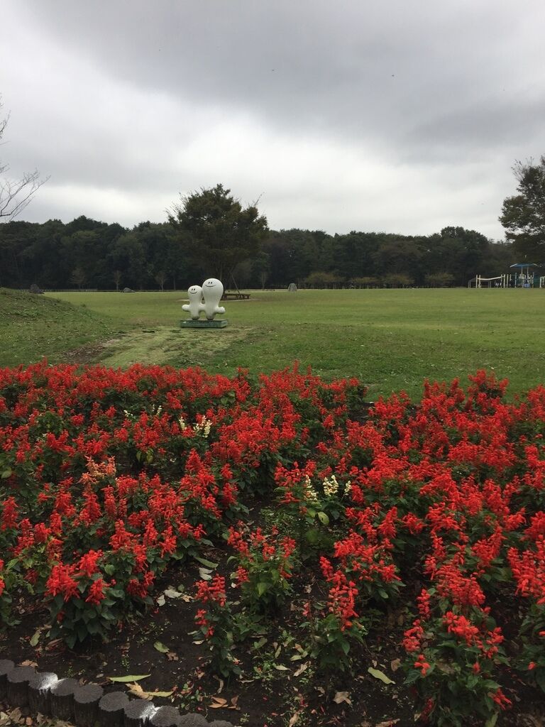 クリスマスローズさんからみずほの自然の森公園への投稿クチコミ 栃ナビ