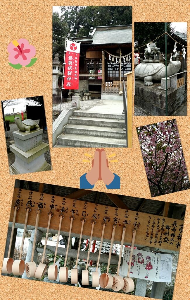 ゆみっちてらこさんから磐裂根裂神社への投稿クチコミ 栃ナビ