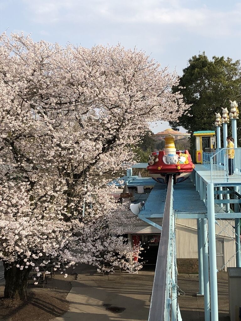ゆうこ さんから宇都宮動物園への投稿クチコミ 栃ナビ ゆうこ さんから宇都宮動物園への投稿クチコミ 栃ナビ