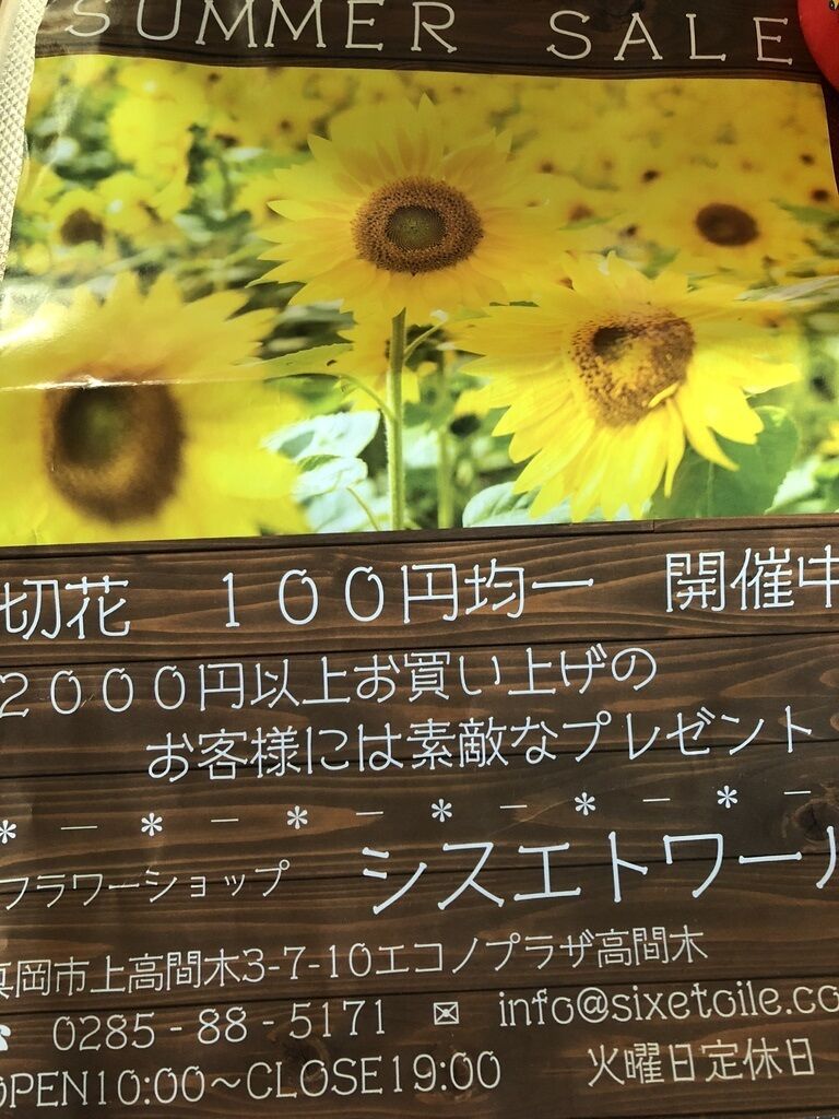 フラワーショップ シスエトワール 真岡市の生花 プリザーブド ドライ 栃ナビ フラワーショップ シスエトワール 真岡市の生花 プリザーブド ドライ 栃ナビ