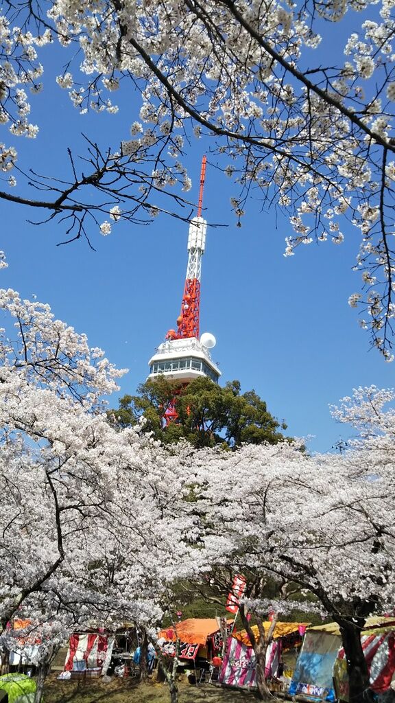 ごんちゃちゃさんから八幡山公園への投稿クチコミ 栃ナビ