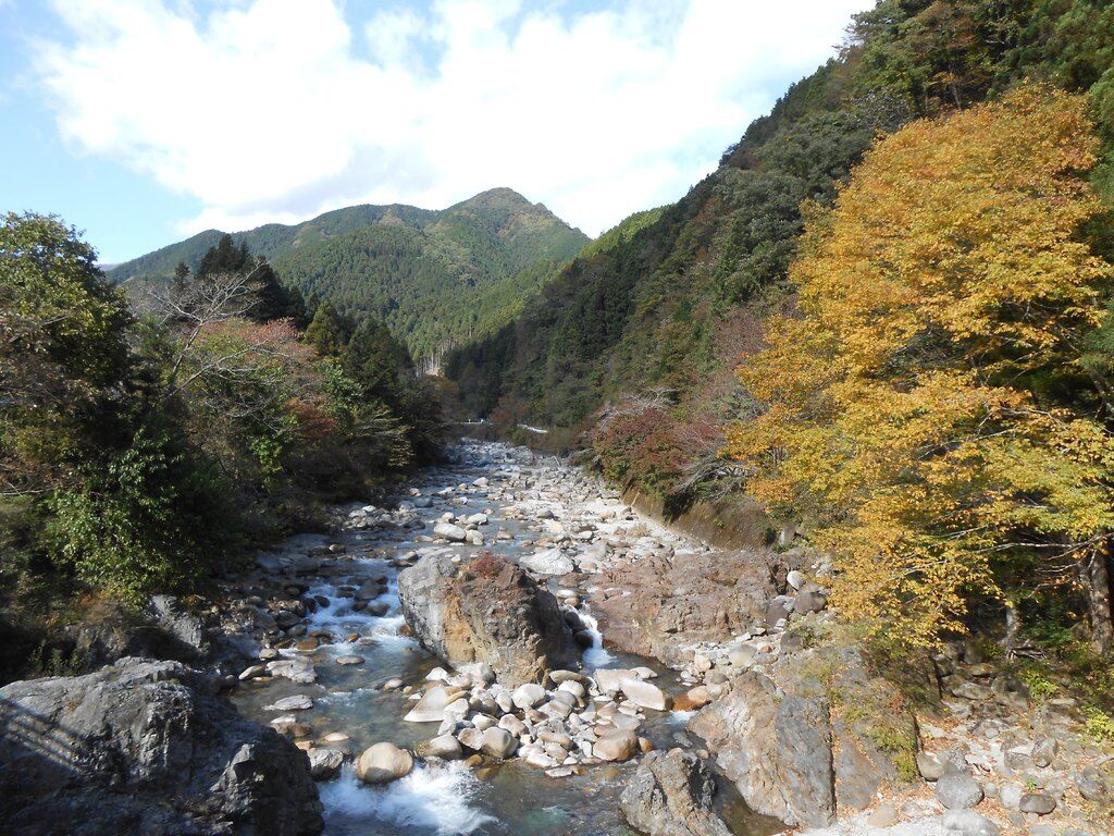 大芦川のクチコミ 口コミ 写真 鹿沼市 河川