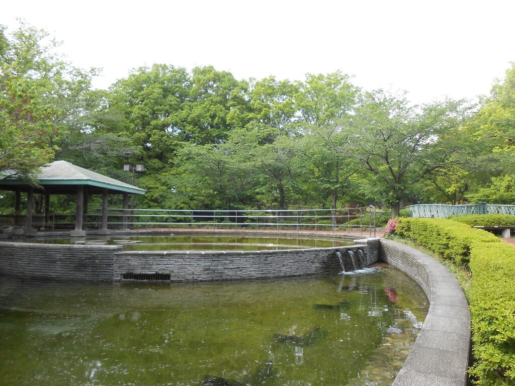 つかちゃん さんから城山公園 佐野市 への投稿クチコミ 栃ナビ