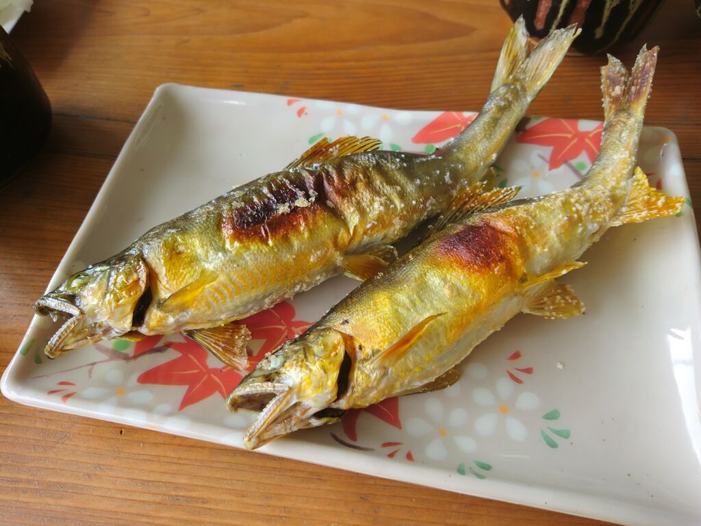 大瀬観光やな 茂木町のやな 食堂 栃ナビ 大瀬観光やな 茂木町のやな 食堂 栃ナビ