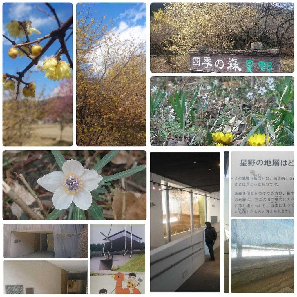 あきパパさんから星野遺跡憩の森への投稿クチコミ 栃ナビ
