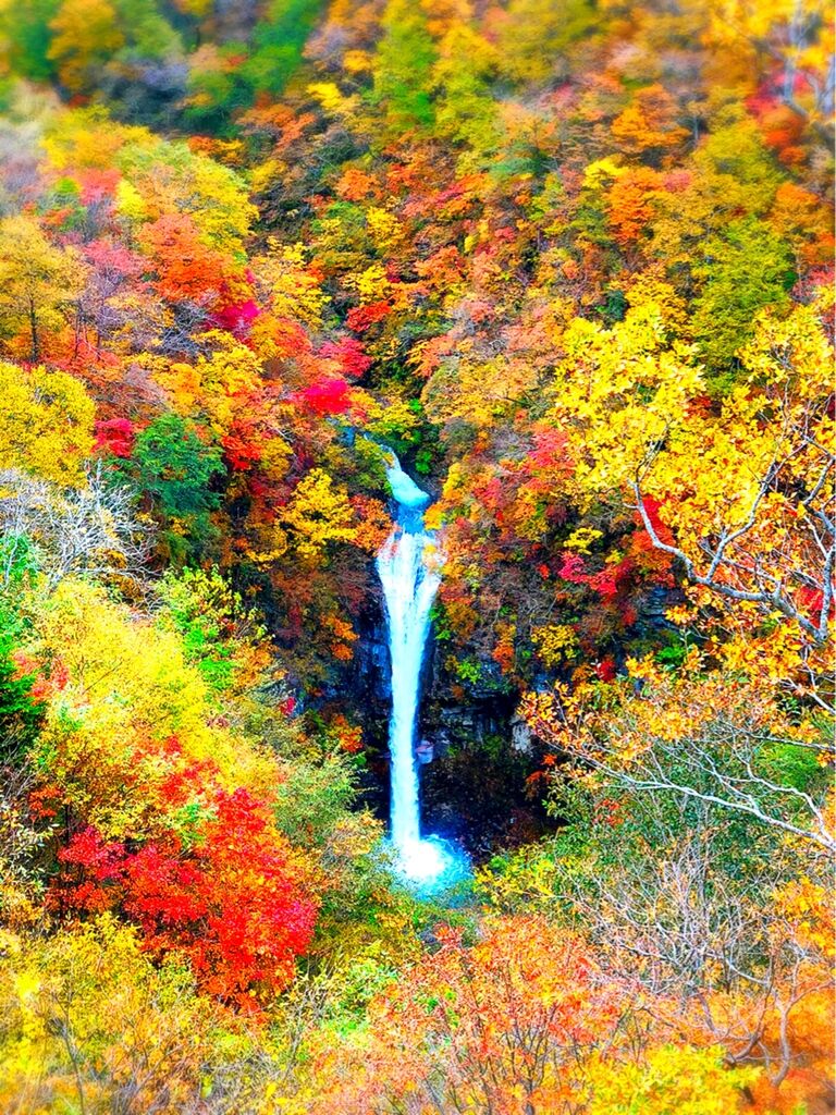 にゃおりんさんから駒止の滝への投稿クチコミ 栃ナビ