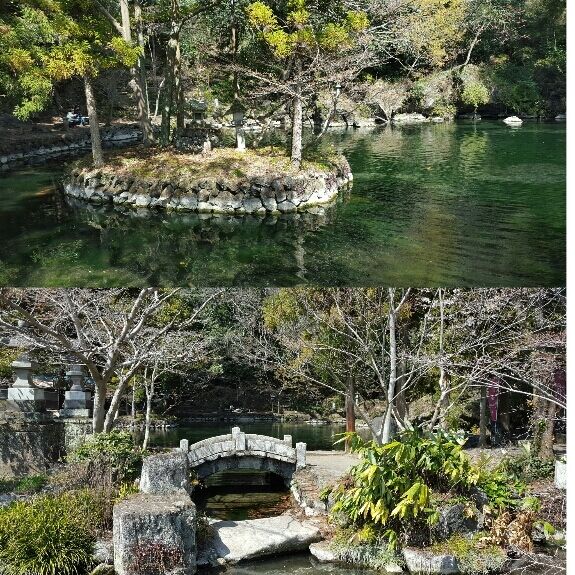 出流原弁天池 佐野市の湖沼｜栃ナビ！