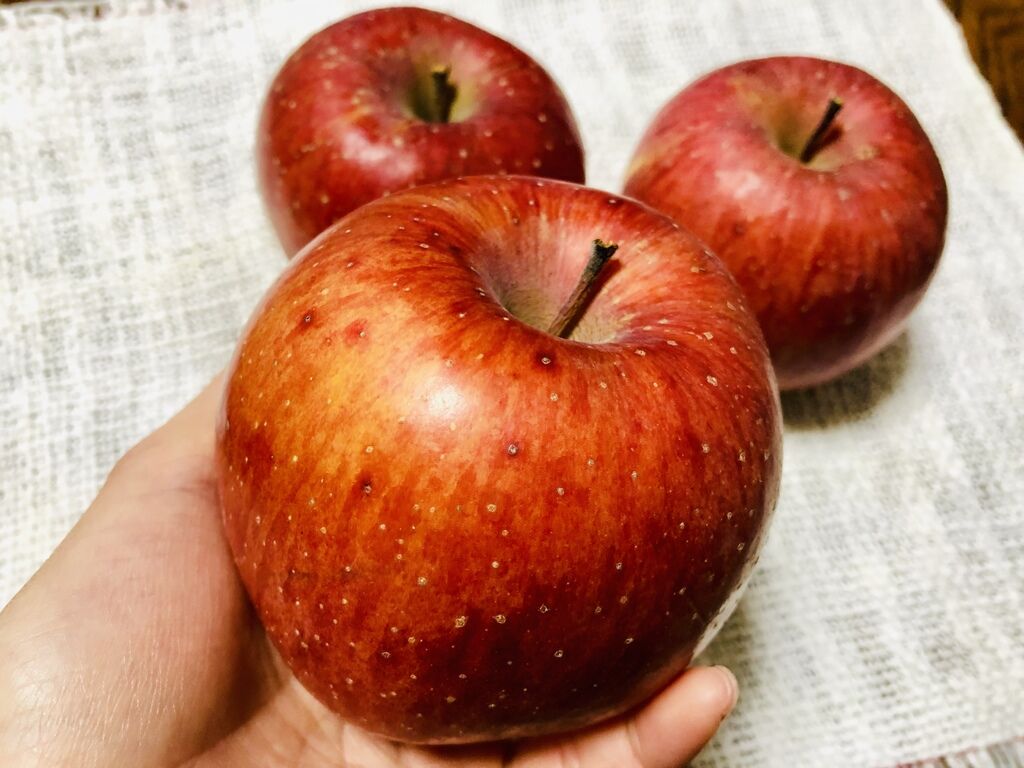 福田りんご園 宇都宮市の野菜 直売所 果物 野菜狩り 栃ナビ