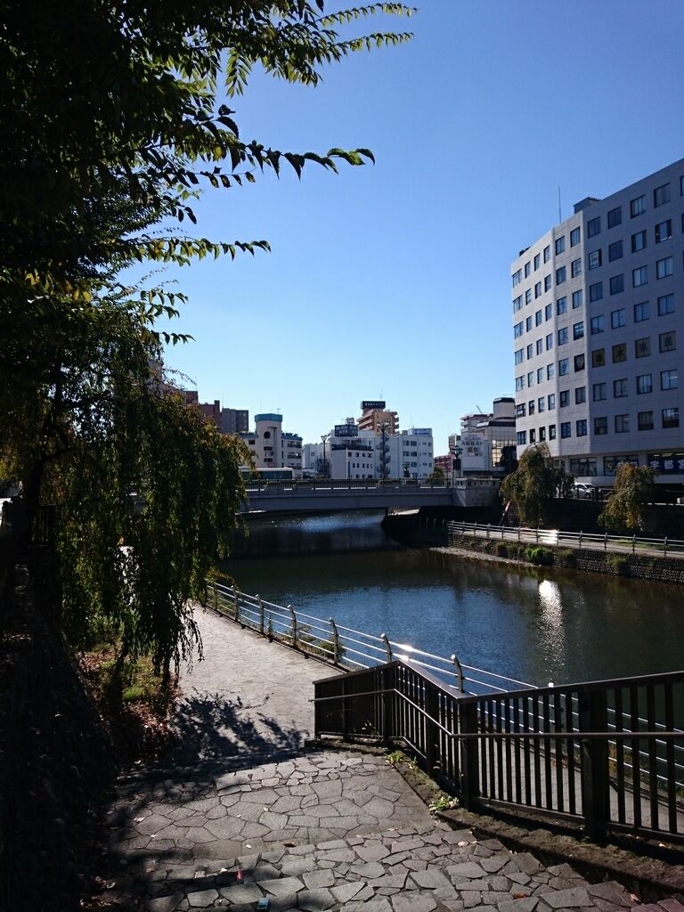 宮の橋のクチコミ 口コミ 写真 宇都宮市 橋 吊橋