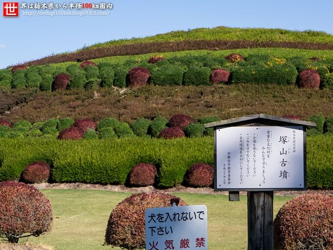 栃木ハンターさんから塚山古墳群への投稿クチコミ 栃ナビ