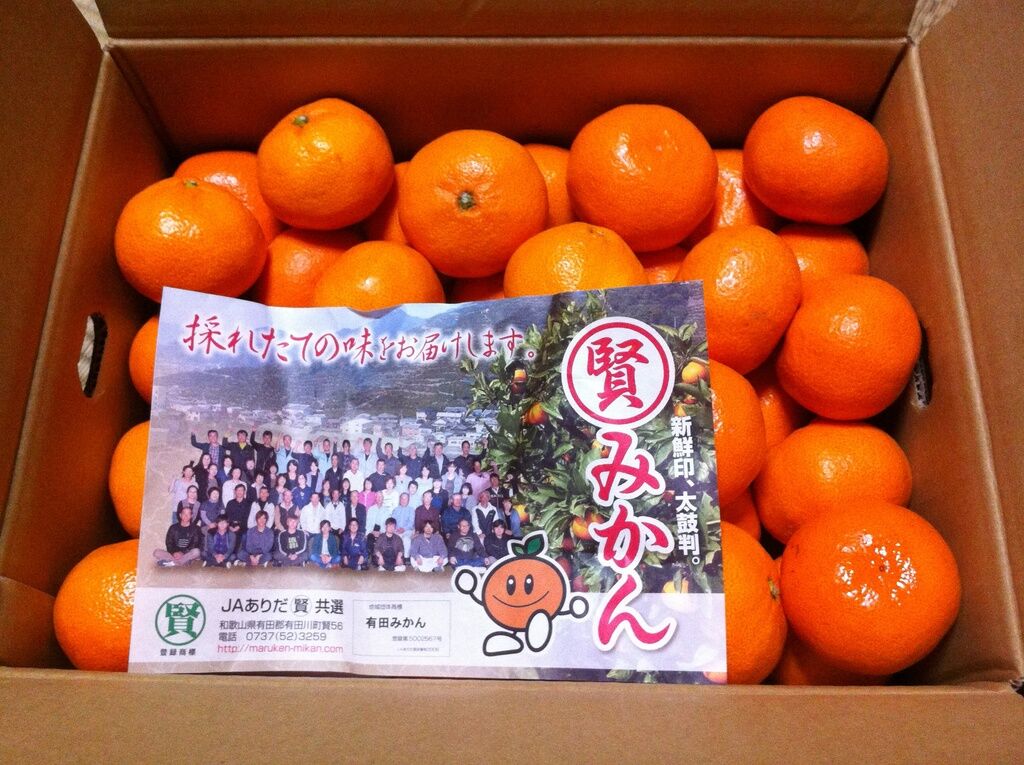 みかんさんへ 確認写真｜小物