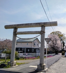 通り一方通行の...