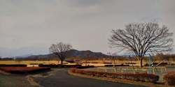 大谷川沿いの広...