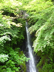 県道１５号線を...