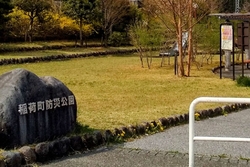 日光桜回遊で散...