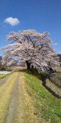 側には「とちぎ...