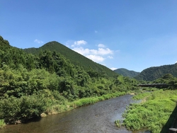夏日にお伺いを...