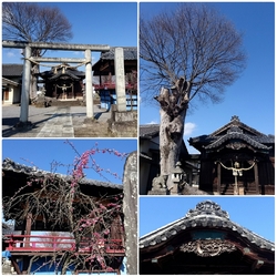 県道75号栃木...