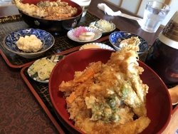 旧岩舟町の住宅...